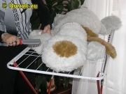 [23.12.2008] FÍK čerstvě po koupeli v pračce se musí zase pořádně načesat